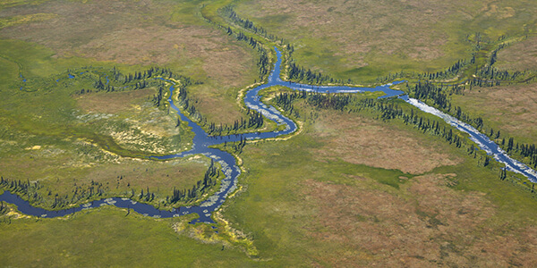 Arial view of Alaskan landscape with a river 